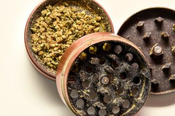 marijuana seed bank